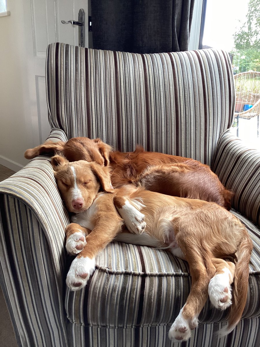 Becoming great friends ❤️