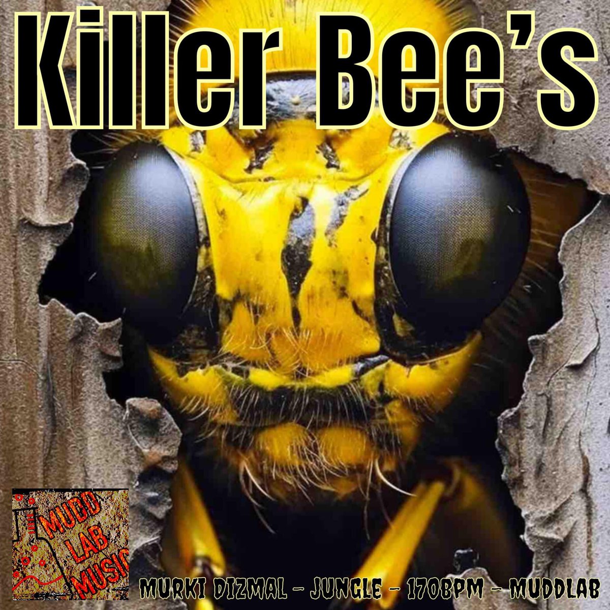 DizmalMurki's tweet photo. KILLER BEES 🐝
jungle
https://t.co/ltJEpM1lkv follow for updates n notifications of all things MuddLab. Brand new music every week all the up to crimbo! #killer #bees #killerbees #jungle #junglist #junglistmovement #junglistmassive #muddlab #music #bandcamp https://t.co/RtGEMFLhwq