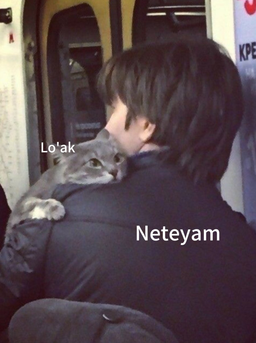 blueShAAArk666's tweet photo. I will never stop admiring these brothers🛐♡
#AvatarTheWayOfWater #Avatar2 #Loak #Neteyam #LoakNeteyam #NeteyamLoak https://t.co/9U030x1RtY