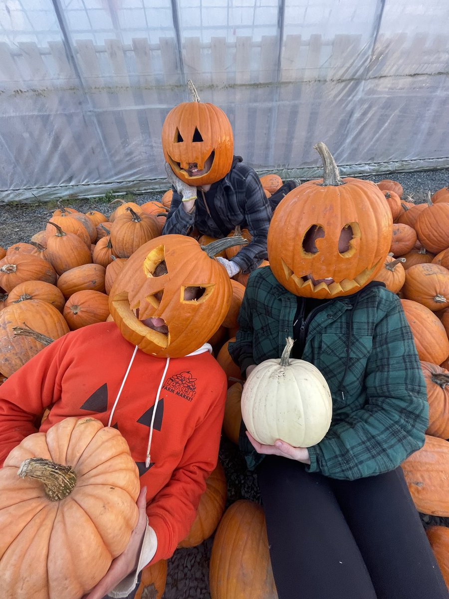 Looking for pumpkins? We have lots here at 173 Brookfield Road!