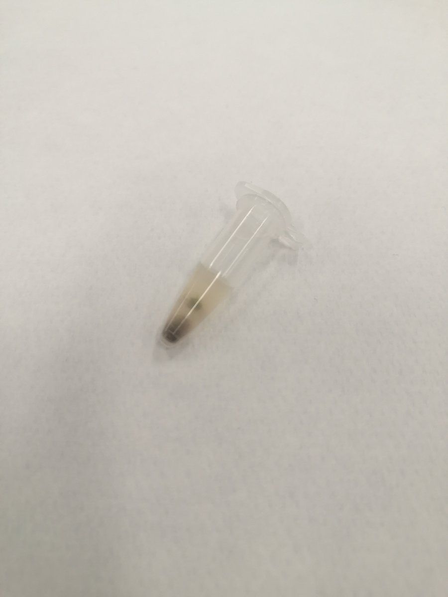 Plant EcoGenomics Lab - UniPD tweet media