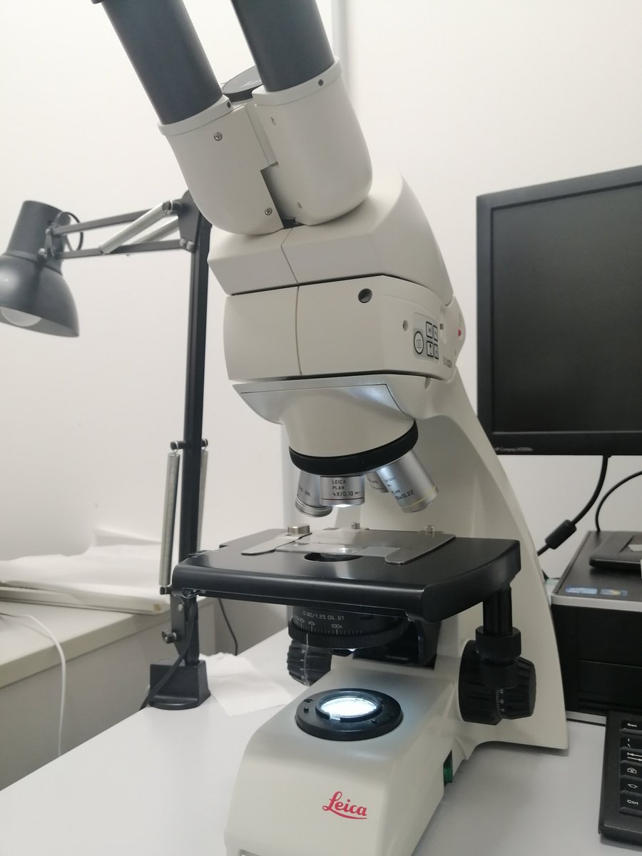 COMING SOON:
We were invited by @biosphaera to #FESAV2023 on 5th November.
For more information: 
fesav.it/evento/confere…
-
fesav.it/evento/botanic…

#science #scientistlife #lossofbiodiversity  #botanicgarden #biodiversity #plants #pollination #herbarium #microalgae #technology