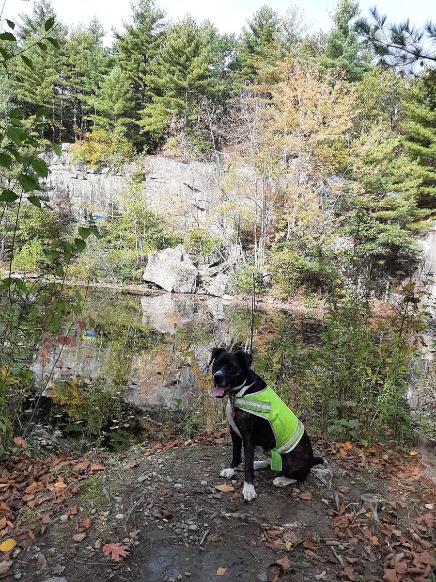 beth_cote's tweet photo. @KatrinaWTE A quarry in Dunstable, MA https://t.co/KN4zEdV7HE
