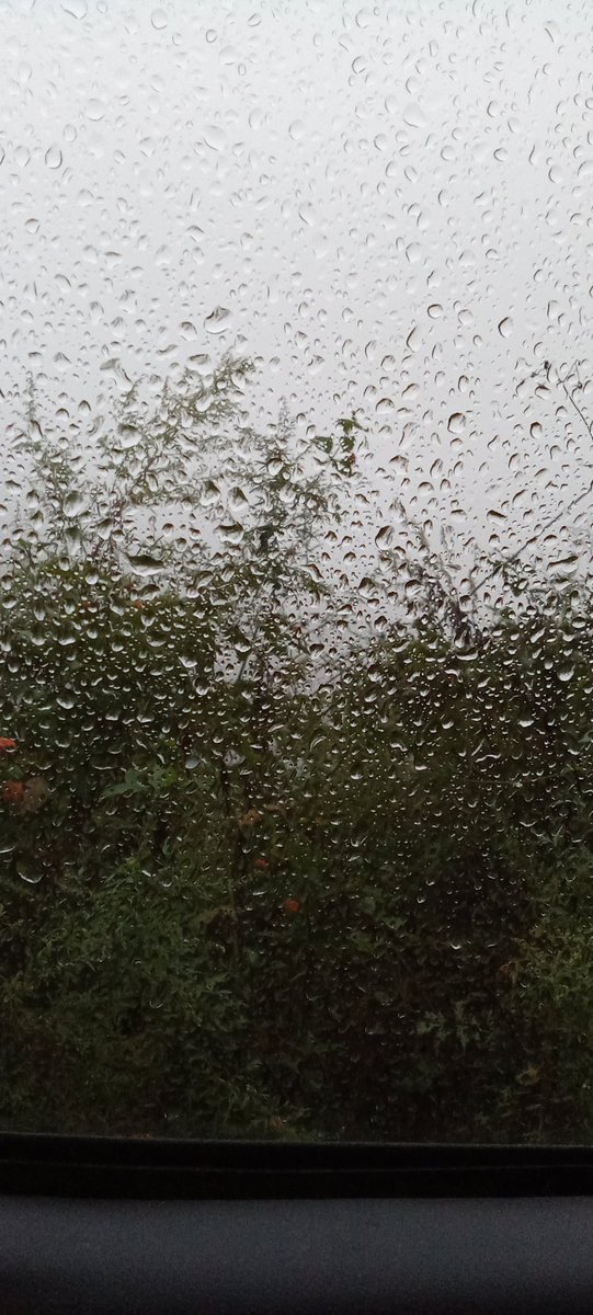 Fall rain! #octoberrain