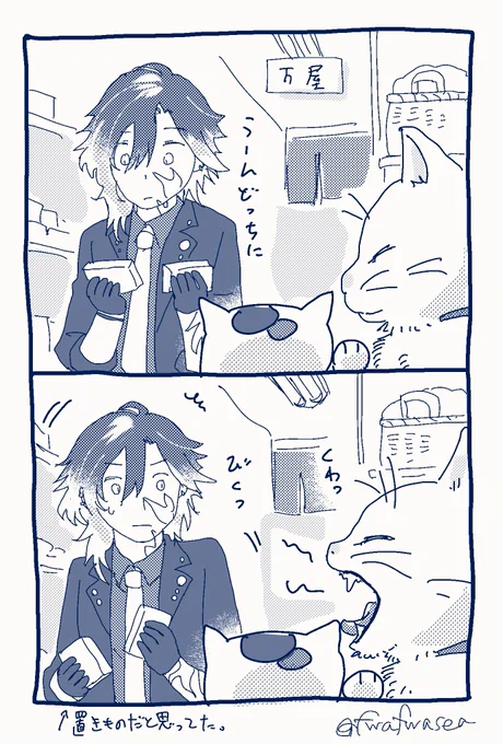 #一日一実休 万屋のネコチャン 