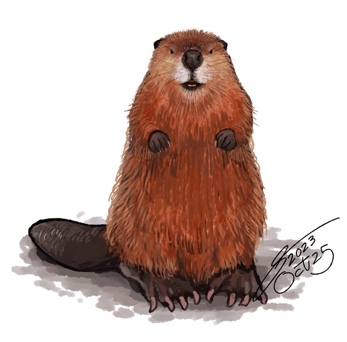 バーチャルビーバーの元絵。 ワンドロです
