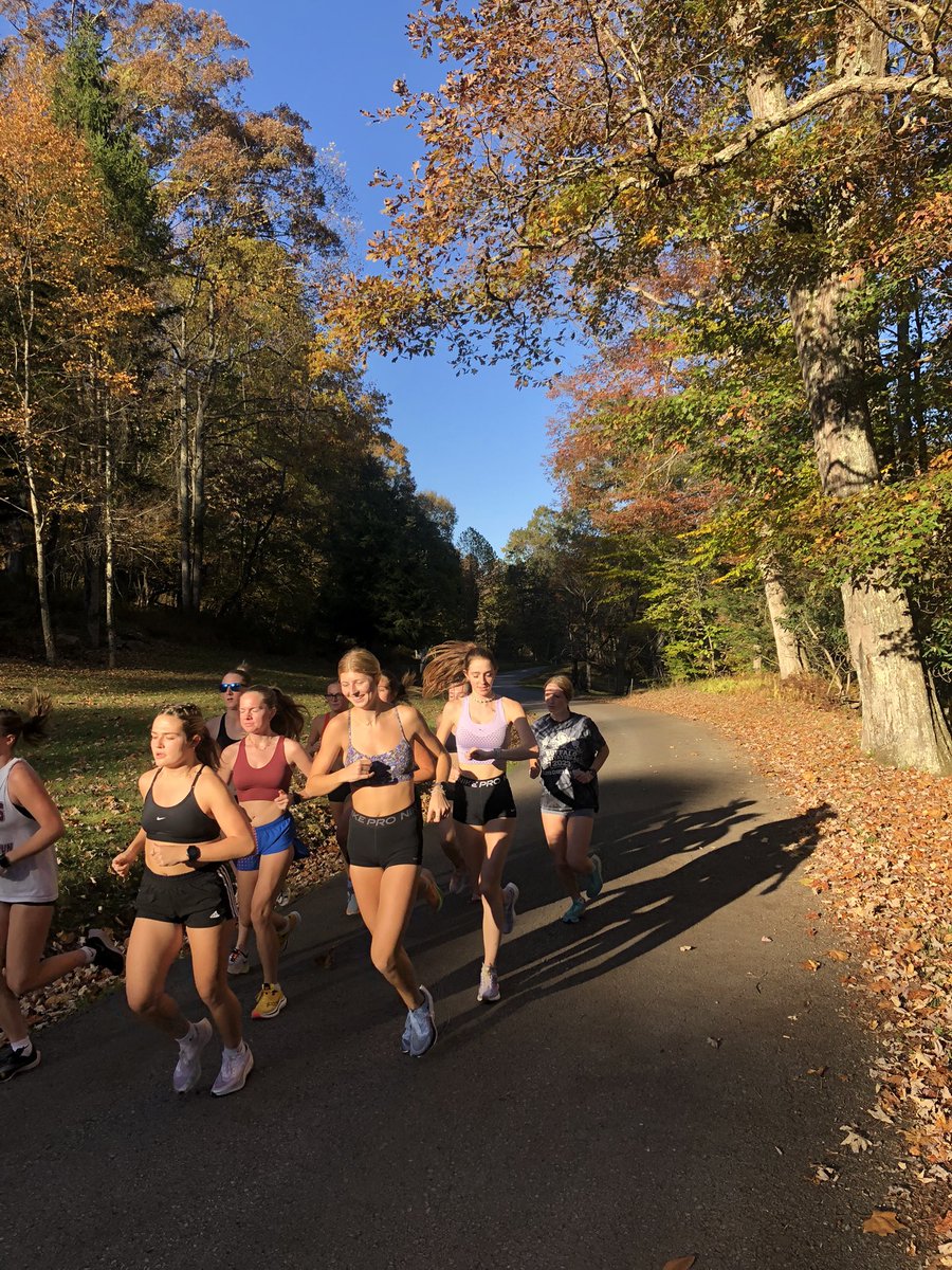 senatorxctrk's tweet photo. Tuesday Quality @ Boy Scout Camp Road. Solid Fartlek work for #DEXCTF as we start to sharpen up for the NCAA Atlantic Regional Championships on Nov. 4th! https://t.co/Qy3fr3kZB3
