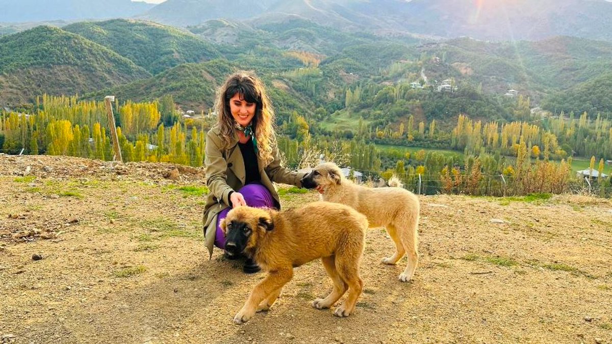 Kaymakam ve eşi, köpek yavrularını sahiplendirdi hakkariilsesigazetesi.com/kaymakam-ve-es… <a href="/SemdinliBldyesi/">Şemdinli Belediyesi</a> <a href="/Aliekberate/">Ali ekber ateş</a> <a href="/semdinli/">RIDVAN KEYFİ</a>