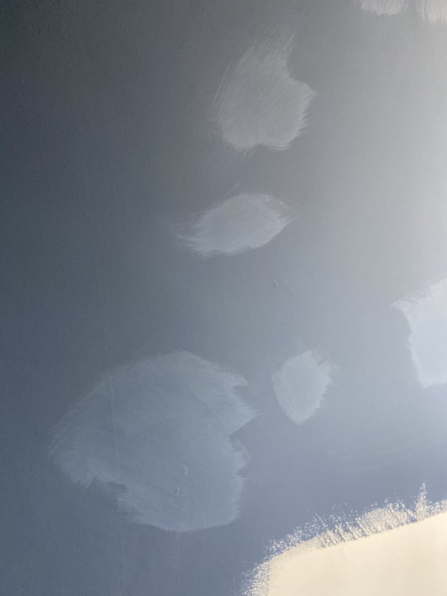 Rachel Sian tweet media