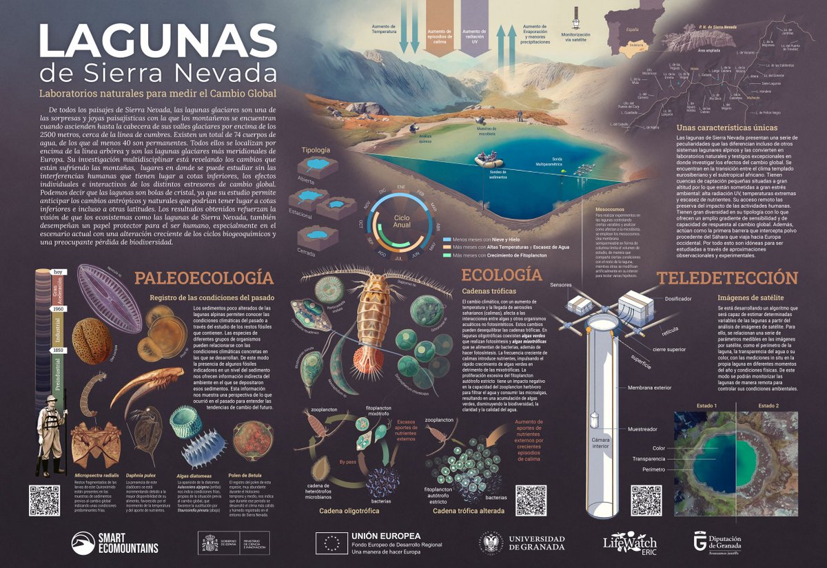 ✅Lagunas de Sierra Nevada, laboratorios naturales para medir el Cambio Global. ➡️Infografía sobre la actividad investigadora de los distintos equipos del proyecto @smart_mountains en las lagunas de #SierraNevada