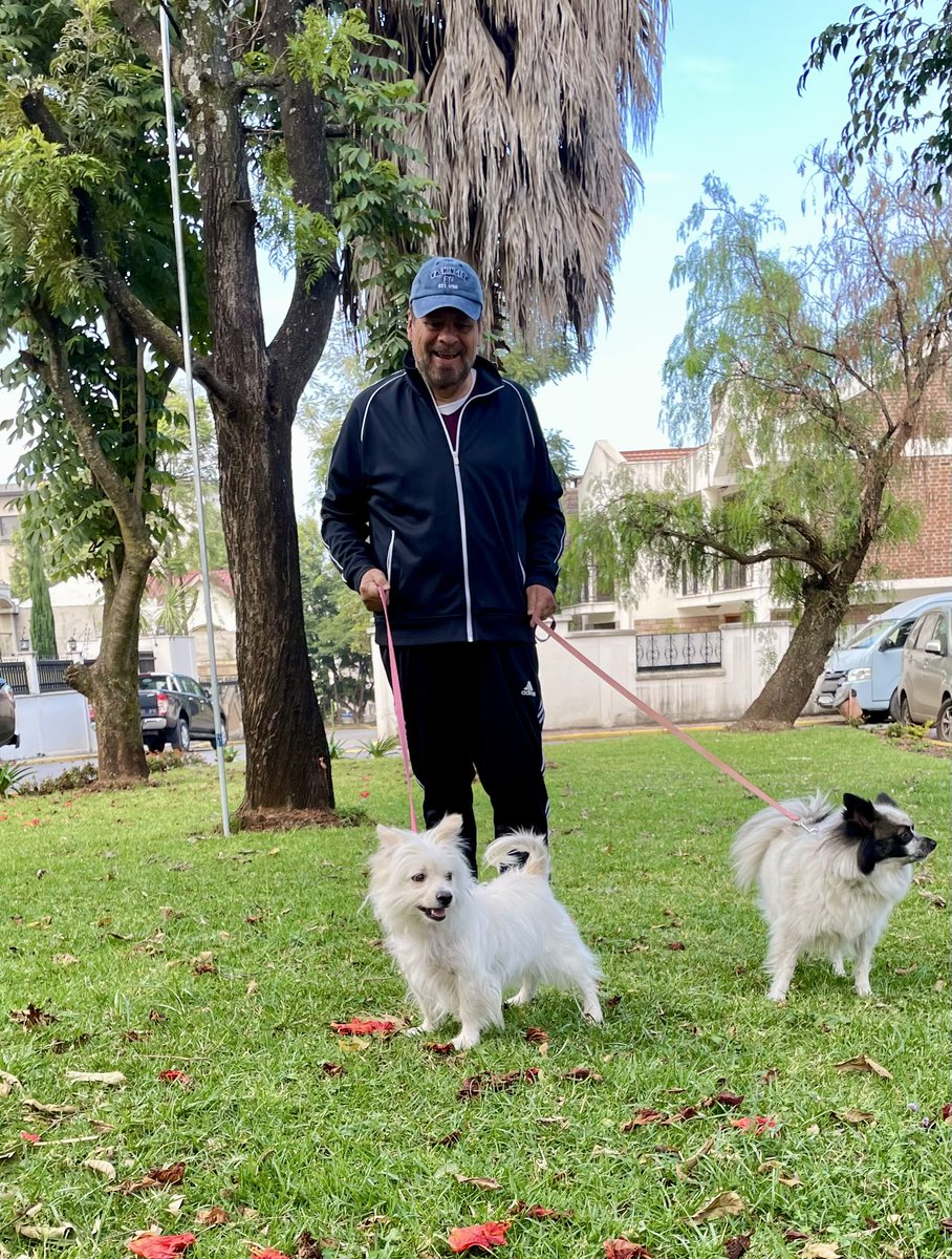 VMTrevino's tweet photo. Buenos días ☀️
Muy temprano esta fresca mañana de miércoles con mis #perrijas Kenya 🐩 y Tita 🐶
#mascotas
Good morning & happy Wednesday from #AddisAbaba #Ethiopia 🇪🇹 #dogs
@MyDogLikes https://t.co/JEBDwTNEmJ