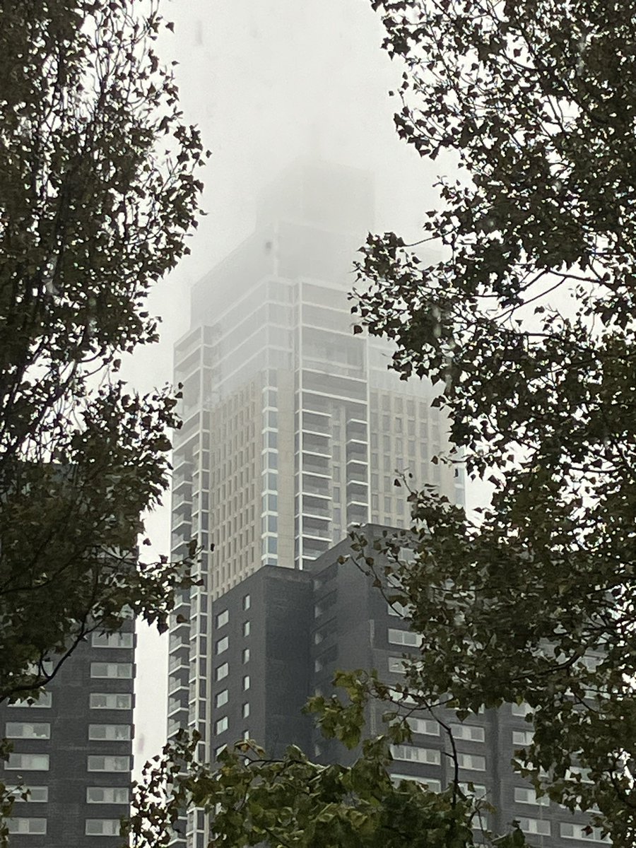 De Zalmhaven (@dezalmhaven) on Twitter photo 