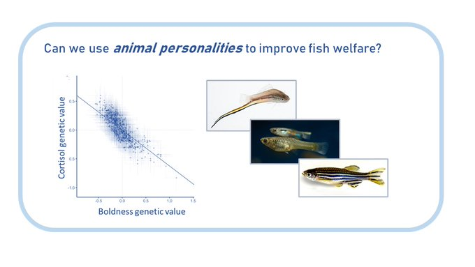 Anyone looking for a PhD student interested in behaviour and evolution, but with an applied (welfare) twist? If so maybe you could join <a href="/C_C_Ioannou/">Christos Ioannou</a> @erik_postma and me. Info + app at exeter.ac.uk/study/funding/…. More on the group at sites.exeter.ac.uk/wilson-group/ Pls RTWT
