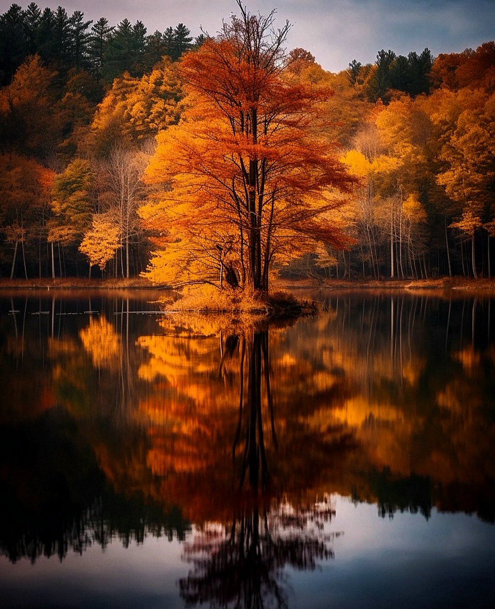 Brad_S_M's tweet photo. Good morning my friends 🍁🍂 https://t.co/MdscC5HZNx