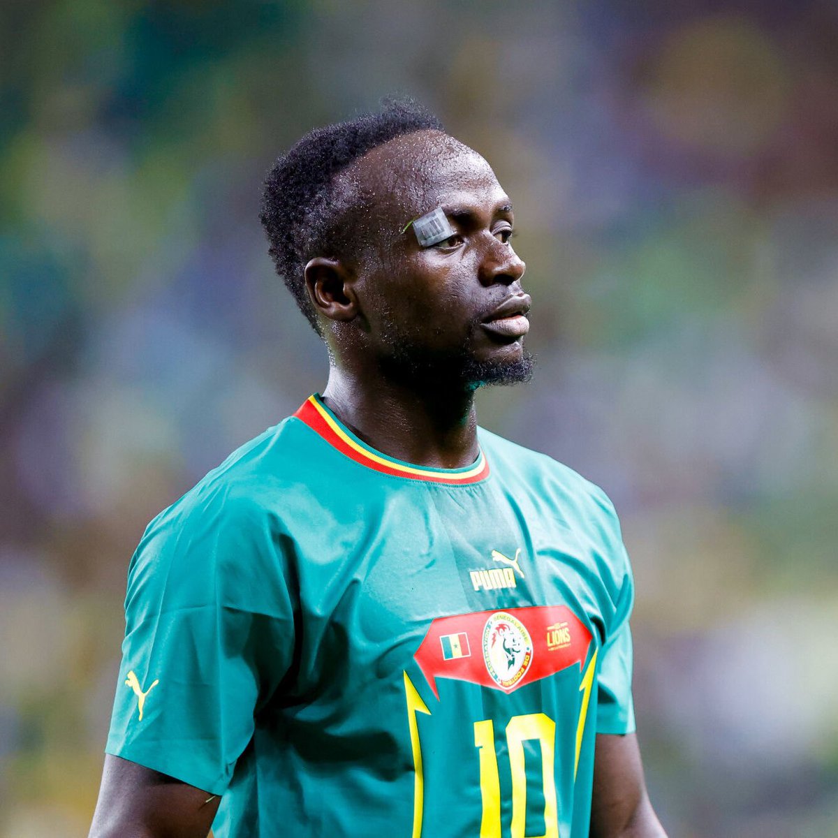 ActuFoot_'s tweet photo. 🚨 OFFICIEL ! Sadio Mané 🇸🇳 rachète le Bourges Foot 18 (National 2) ! 

C’est le maire de la ville de Bourges qui vient d’officialiser l’information à l’occasion d’une conférence de presse :

«  Je vous confirme l’arrivée officielle de Sadio Mané en tant que partenaire du Bourges Foot 18. Je tiens à lui adresser mes salutations les plus chaleureuses. C’est une arrivée officielle en présence de Cheikh Sylla, président du club. Sadio Mané a des valeurs humanistes, il a une proximité et il a une volonté d’avoir un projet social. »
