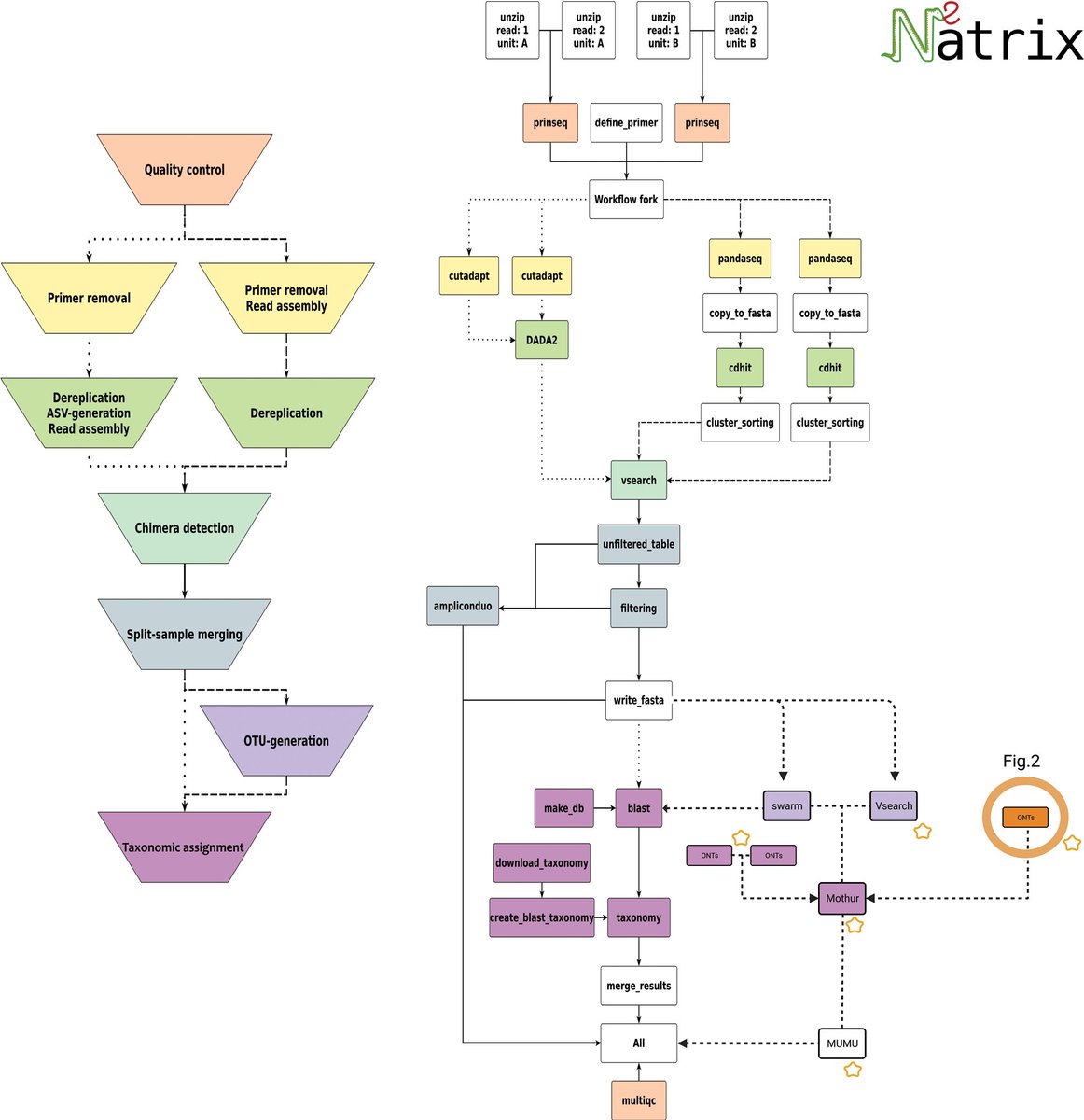 🧬 With Natrix2, processing of #Nanopore short and long sequencing reads, including orientation, trimming, clustering and error correction, is possible.

👉 Read more: doi.org/10.3897/mbmg.7…

#metabarcoding #Bioinformatics