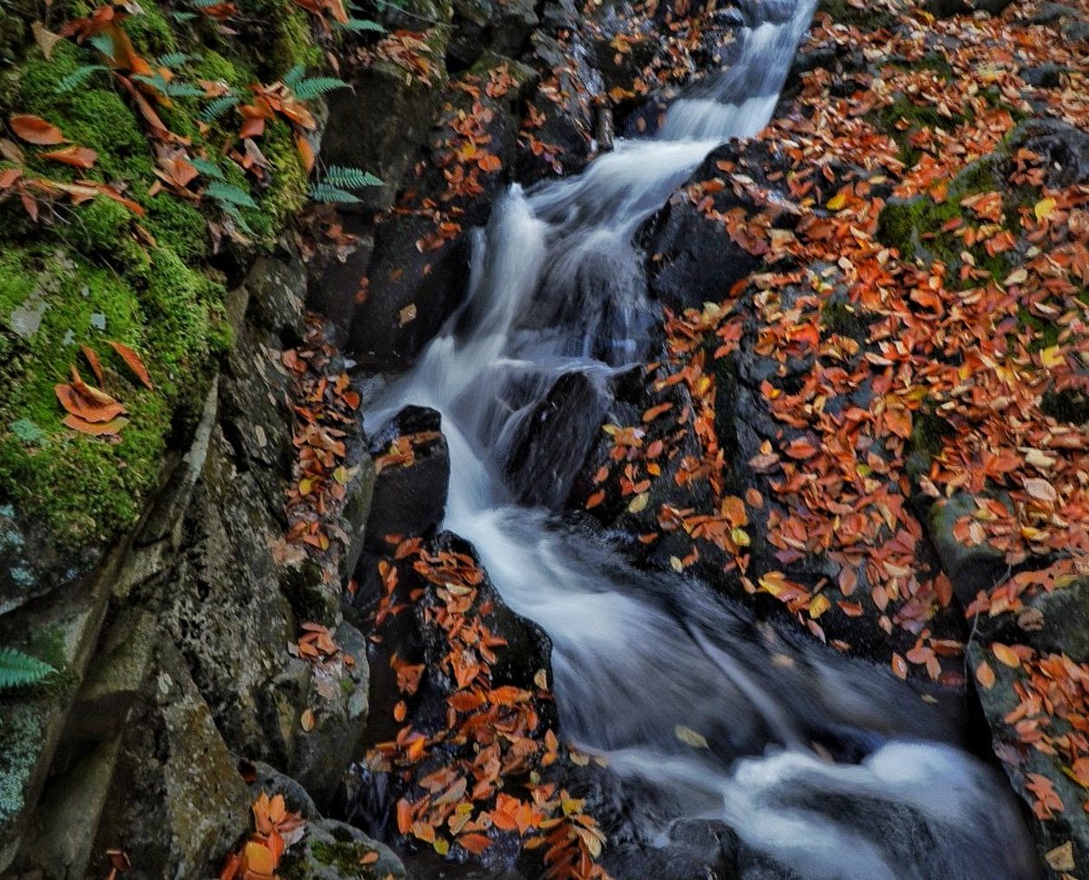 Cascade in #GatineauPark, 🇨🇦

#Canada #Québec #longexposure #slowshutter #waterfall #fall #fallphotography #AutumnVibes #Autumn #naturelovers #landscapephotography #ThePhotoHour #ThePhotoMode @YoushowmeP #imagesofcanada