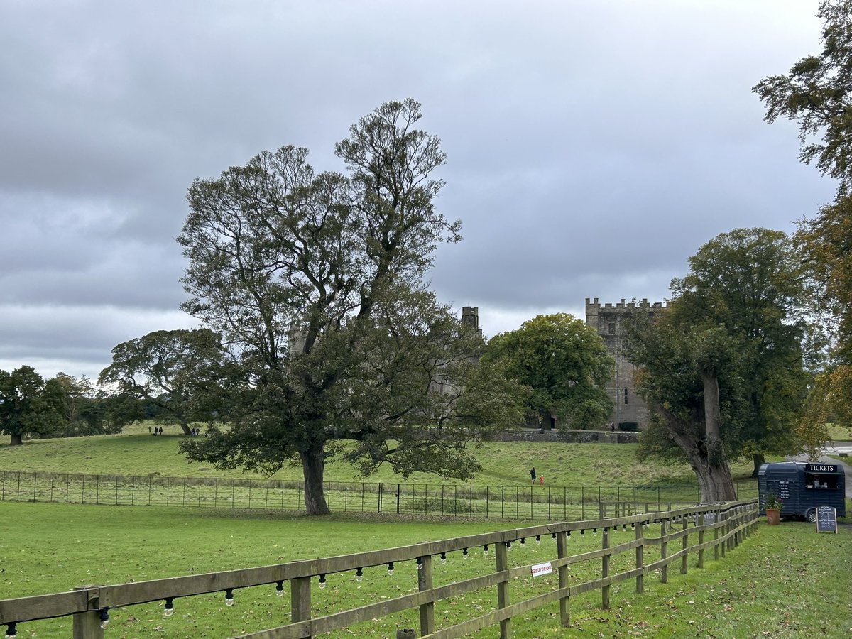 SwindyMiller's tweet image. Raby Castle &amp;amp; Deer Trail #bimbling #staindrop #codurham