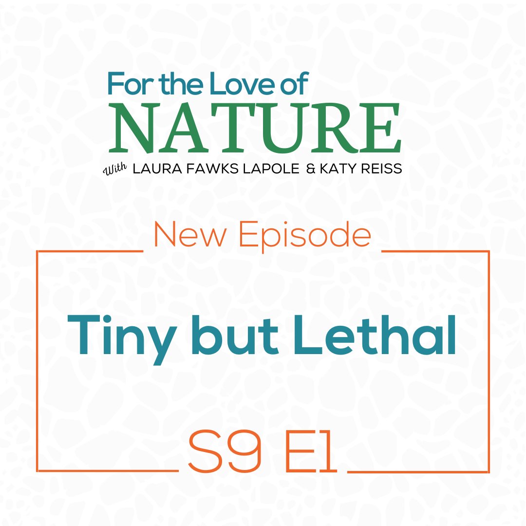 We're back for Season 9! 
Katy &amp; Laura discuss how some of nature's most lethal predators come in #funsize
