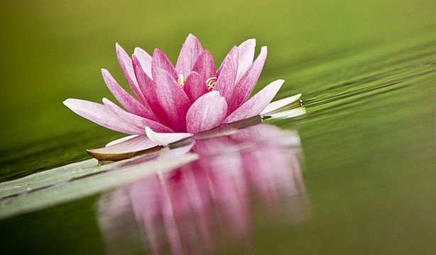 جو شخص صابر و شاکر اور مستغنی نہیں ہے وہ اللہ سے دور ہو جاتا ہے، اور اللہ سے دوری سکون و عافیت اور اطمینان قلب سے محرومی ہے۔
#اردو_زبان 
#اردو_ادب