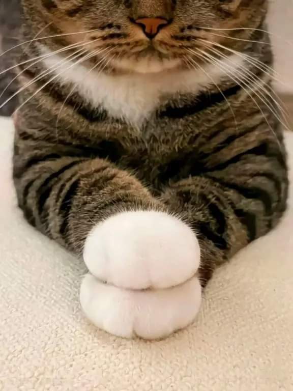 Alex (@polaleks) on Twitter photo 