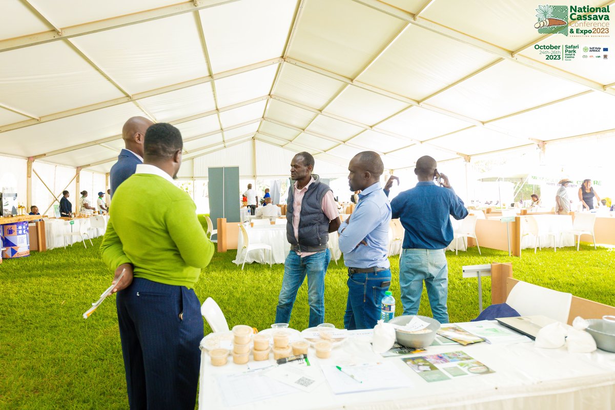 NationalCassava's tweet photo. Cassava a lifeline in many countries, supporting livelihoods and nourishing communities.
It's incredible to see the world come together through cassava.

Watch us here: https://t.co/MCFEYzSCPZ 

#CassavaCon #CassavaExpo2023  #CassavaIndustry #Kenya #Agriculture #FoodSecurity https://t.co/nHiLqtrRJf