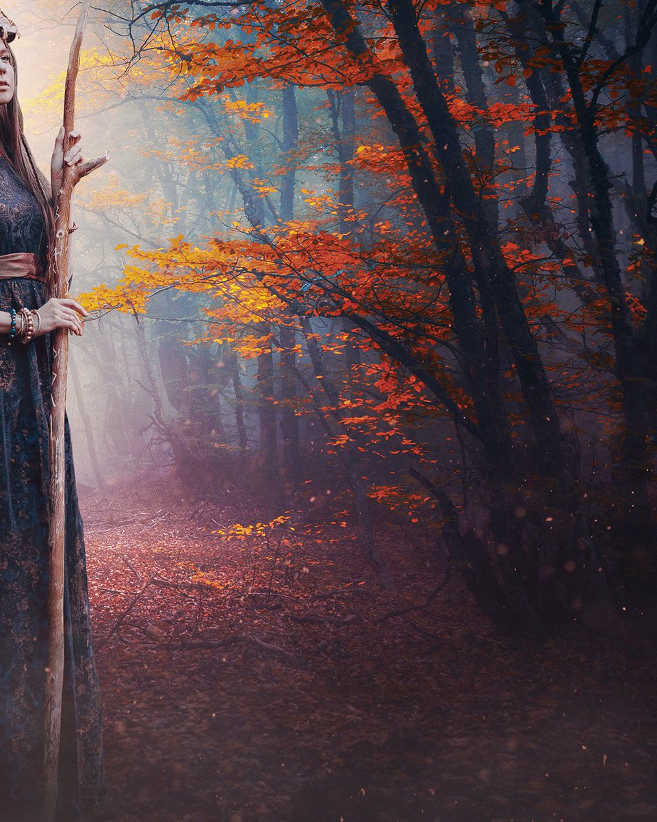 zortakvault's tweet photo. Don't forget to check out my new Photoshop Speed Art Elven Woods
https://t.co/KB7um9kd3r

#ElvenWoods #photoshop #artwork #NFTCommunity #NFTs #mtg #digitalart #NFT #art #empireoffuture #zortak #digitalpainting #digital_art #digitalartwork #photoshopart #artdigital #zortakvault https://t.co/UogLPz1vJz