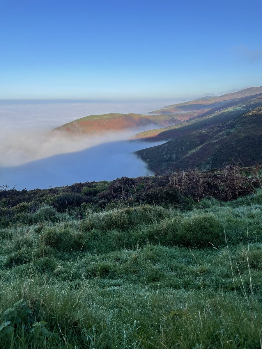 ben194's tweet photo. Lovely on the tops today https://t.co/rbyzxmZrpa