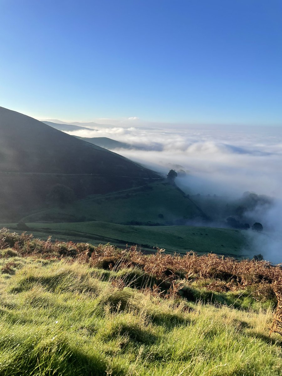 ben194's tweet photo. Lovely on the tops today https://t.co/rbyzxmZrpa