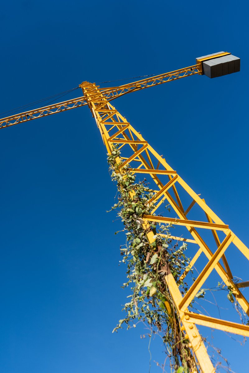 OBRA: PRECAUCIÓ! PERILL PER OBRES
Autoria: Reyes Pe i  Ricardo Ruíz
Ubicació: Bonrepòs i Mirambell

Una grua enmig de l'horta, en un camp sense llaurar. Una performance per a deslligar el diàleg respecte a l'horta i la problemàtica que l'embolica respecte a la construcció.