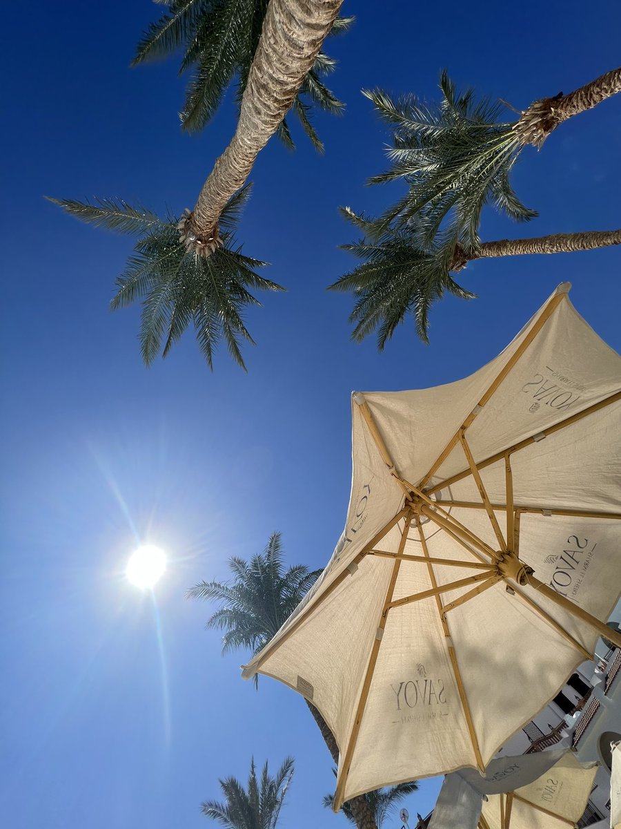 1Line1Box's tweet image. Egypt🇪🇬 

Refreshed the mind🧘‍♂️