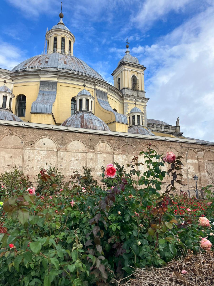 AnotherWayFF's tweet photo. #AnotherWay2023 Comenzamos la última jornada con el Madrid más salvaje en OASIS URBANOS POR DESCUBRIR 🌳🍂

🌴Para finalizar con esta actividad visitamos jardines escondidos entre Ópera y Atocha y aprendemos a reconocer árboles singulares en la Casa de Campo. https://t.co/ClDtoBjx1j