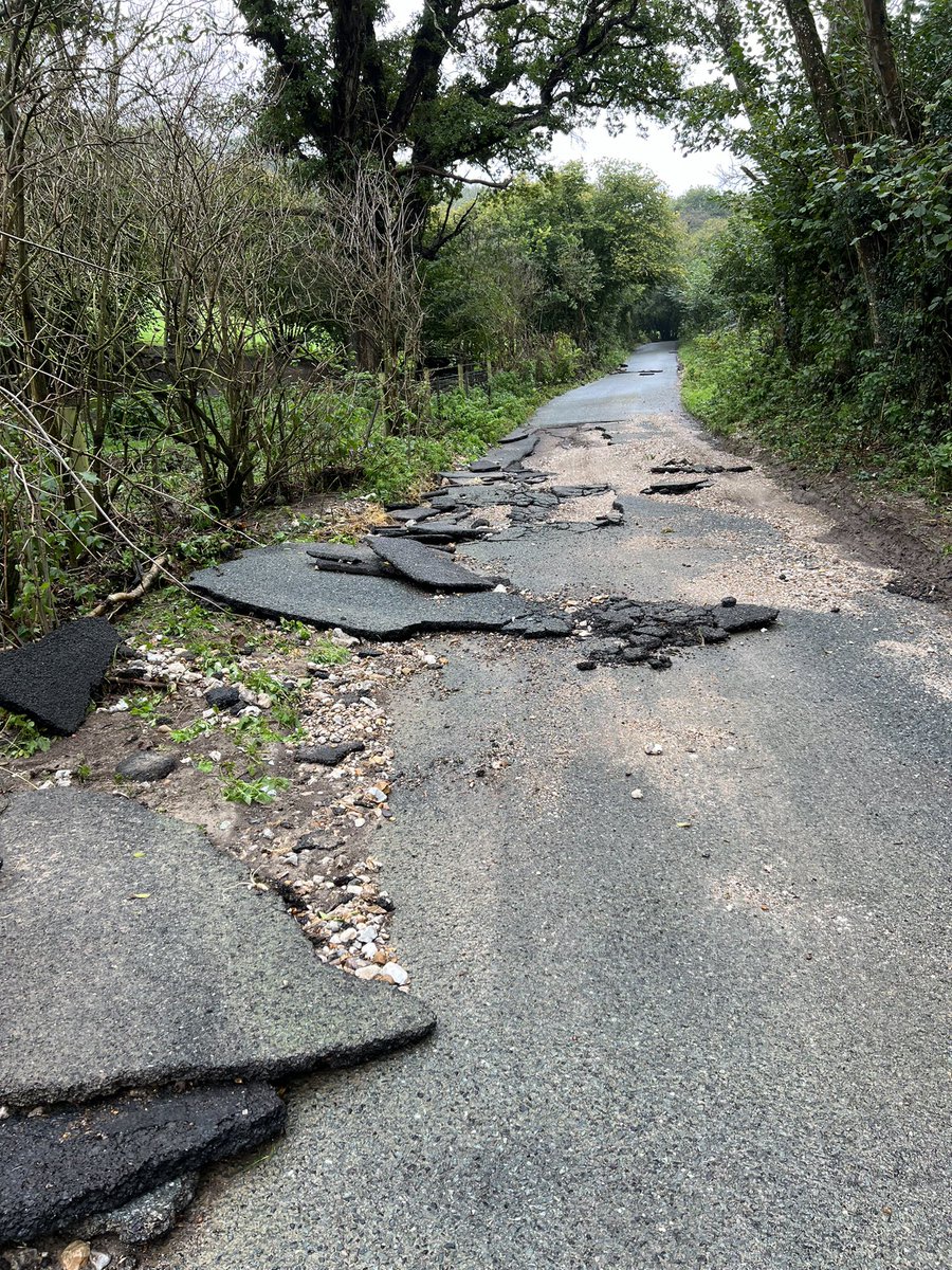 LBW's tweet photo. We have a lake, confused sheep and a lack of road here on the Isle of Wight. #isleofwight #floods https://t.co/7w1xeu3VkX
