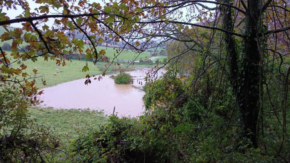 LBW's tweet photo. We have a lake, confused sheep and a lack of road here on the Isle of Wight. #isleofwight #floods https://t.co/7w1xeu3VkX