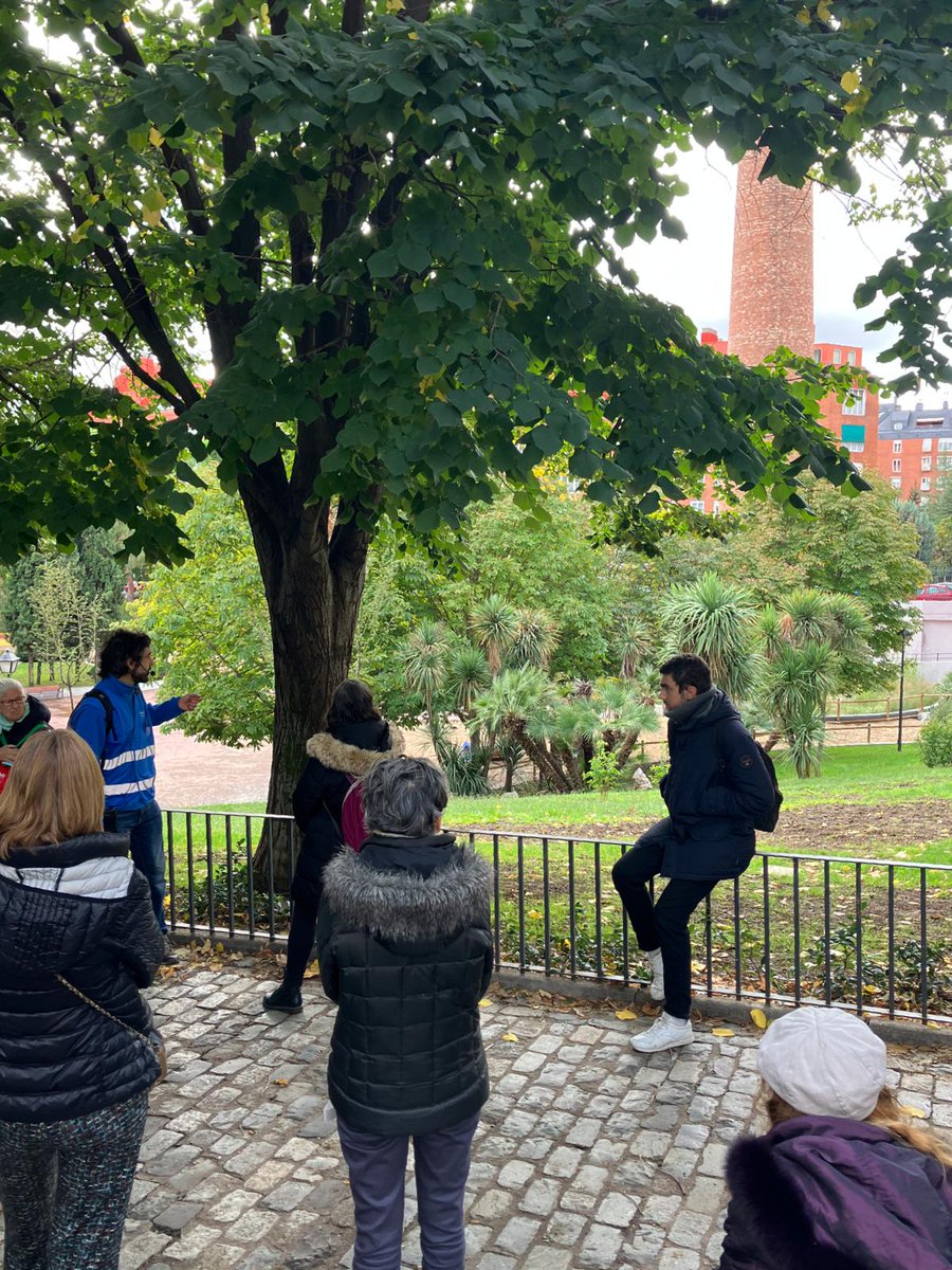 AnotherWayFF's tweet photo. #AnotherWay2023 Comenzamos la última jornada con el Madrid más salvaje en OASIS URBANOS POR DESCUBRIR 🌳🍂

🌴Para finalizar con esta actividad visitamos jardines escondidos entre Ópera y Atocha y aprendemos a reconocer árboles singulares en la Casa de Campo. https://t.co/ClDtoBjx1j