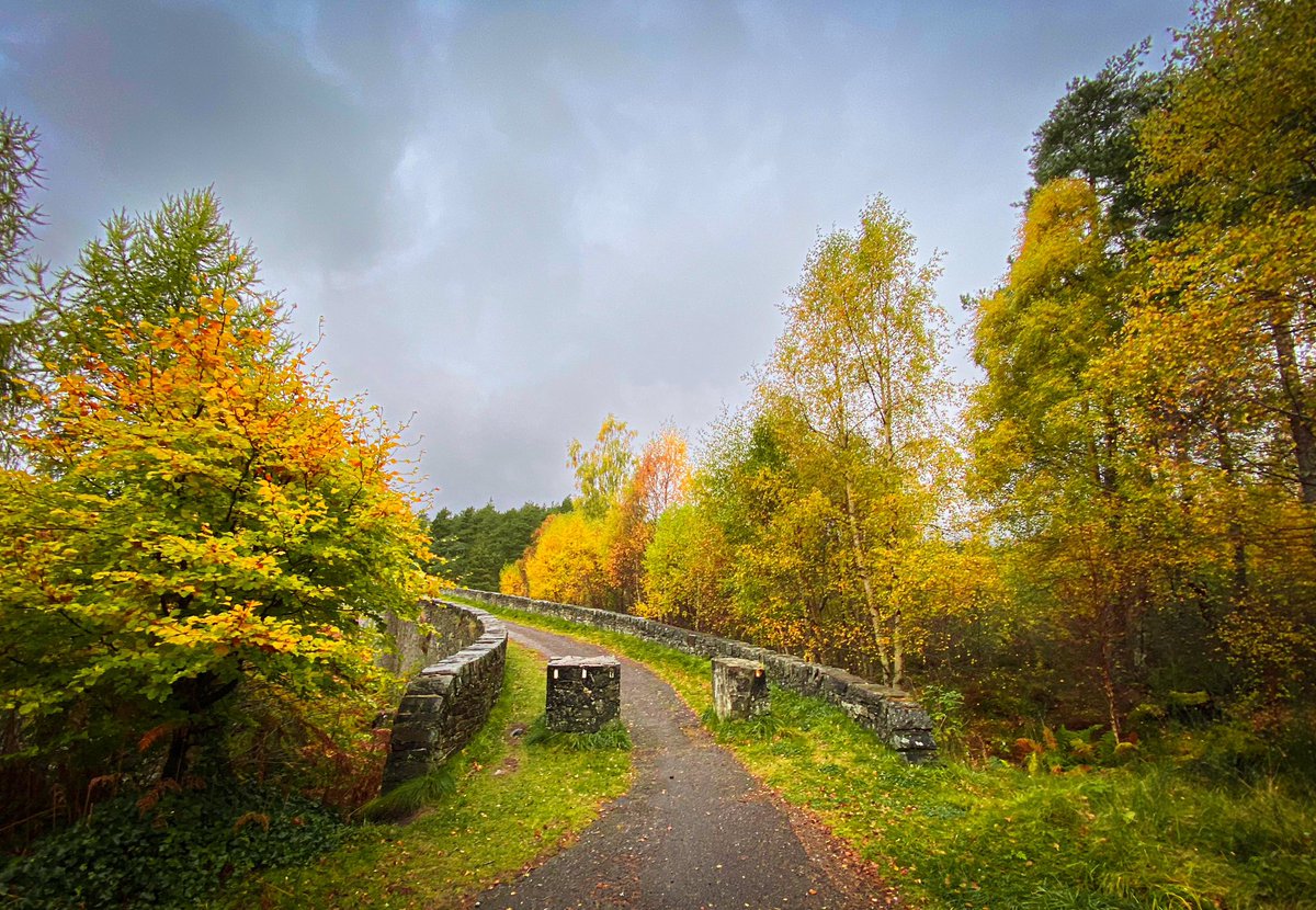 Lovely Autumn colours at Silverbridge.