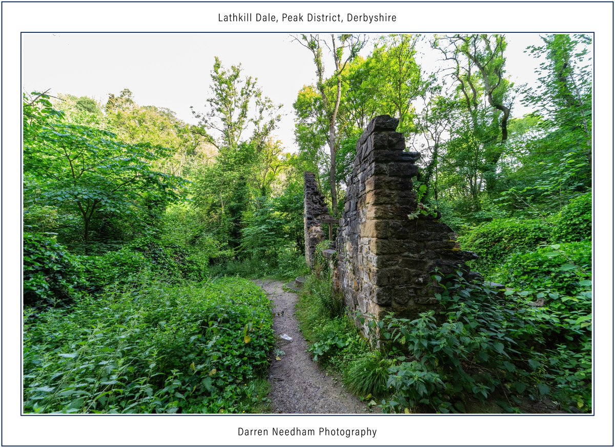 dneedham68's tweet photo. Bateman's House, Lathkill Dale, Peak District, #Derbyshire
#StormHour #ThePhotoHour #CanonPhotography #LandscapePhotography #Scenery #PeakDistrict #NaturePhotography #NatureBeauty #Nature #Countryside #Trees #Ruin #MiningIndustry #LeadMine https://t.co/D8ZE8BHEQl