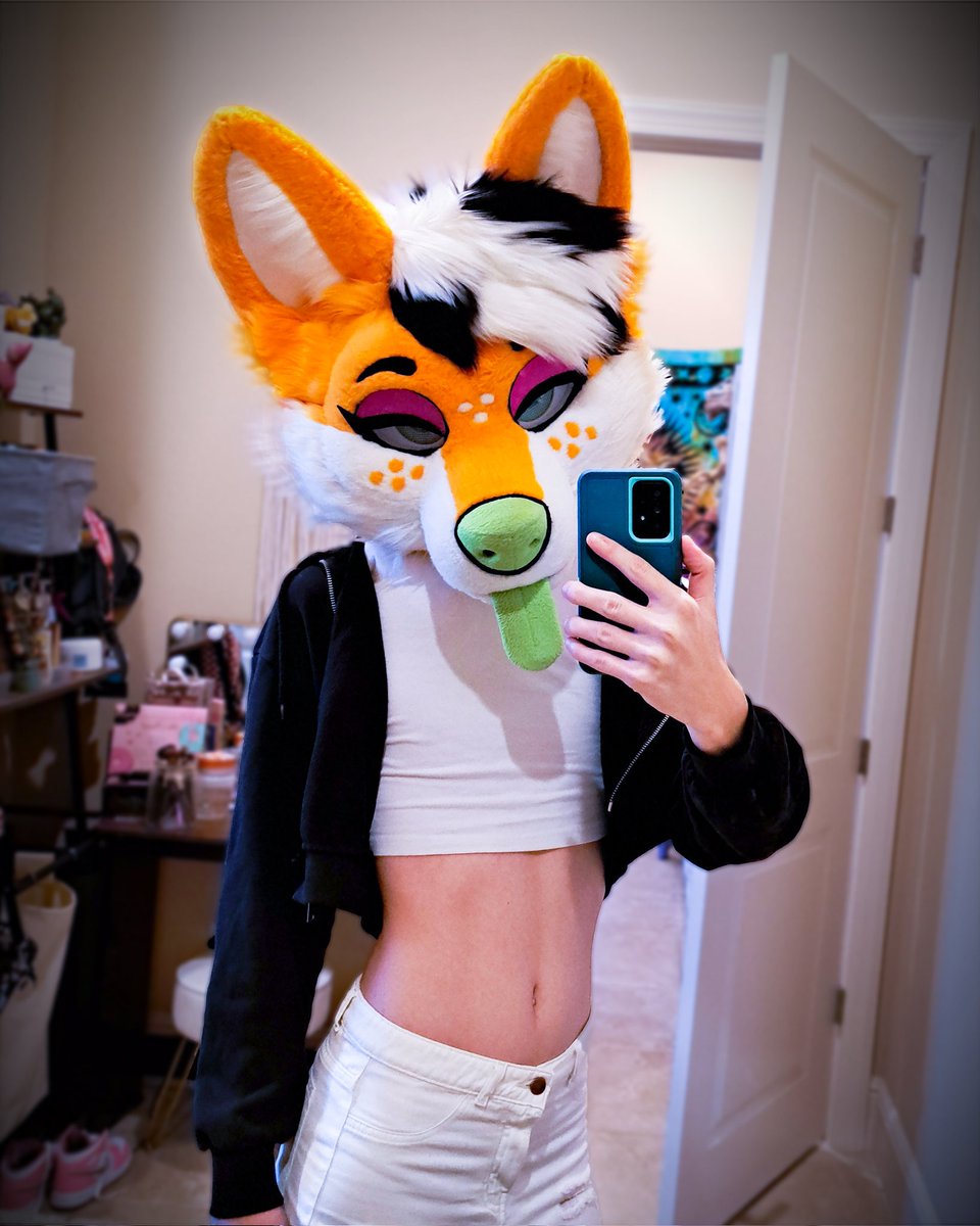 Scrubb_the_fox's tweet photo. Where would you take me for dinner? This fox needs a date 😘 https://t.co/7SY02nMv6D