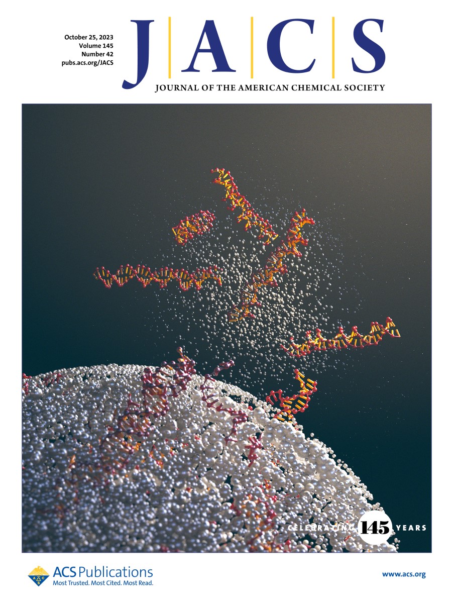 The latest issue of JACS is live!

On the cover this week, the authors combine the supramolecular programmability of nucleic acid (NA) interactions with sol–gel chemistry. @AleBertu @LuisaDeCola8 @SleimanHanadi @alessan_porch

Learn more here ➡️ go.acs.org/6E7