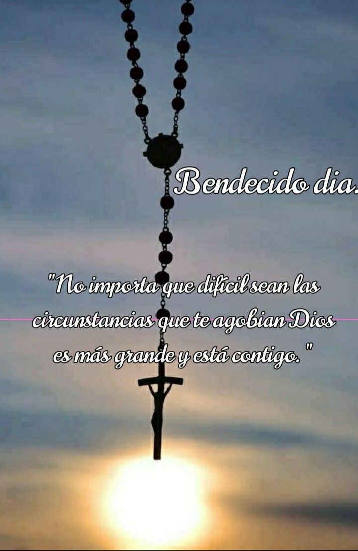 Buen día para todos 🙏 que tengan un excelente y bendecido día que lo disfruten 🌹