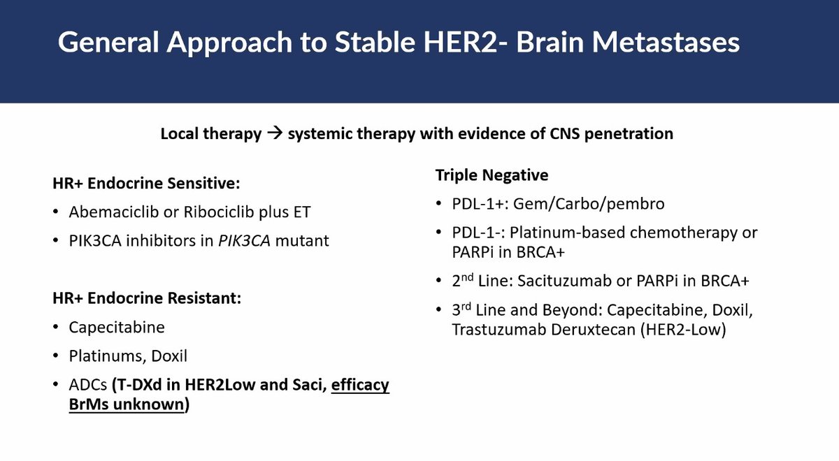 Dr. Sarah Sammons (@drsarahsam) gave a brilliant presentation in our breast oncology seminar series (#BOSS) on Novel Strategies in the Prevention and Treatment of #BreastCancerBrainMetastases #BCBM #BrainMets #MBC #BCSM #breastcancer