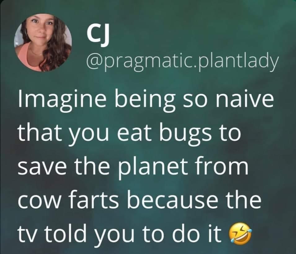 Sal the Agorist (@sallymayweather) on Twitter photo 