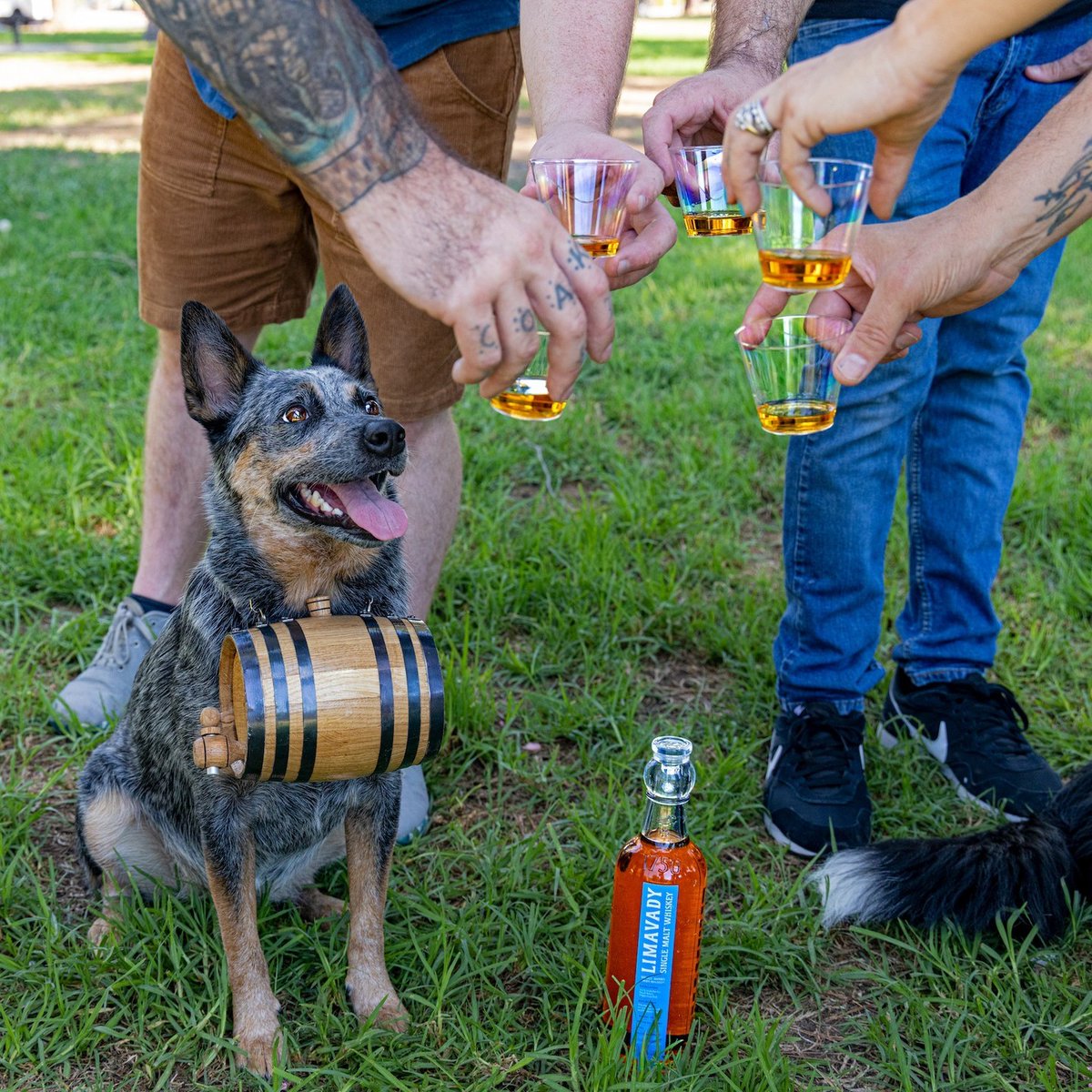 Are you ready to be the most popular person at the dog park?

We created the first Single Barrel Dog Collar for the every outdoor occasion.  Perfect for our Single Barrel Single Malt Irish Whiskey, enjoy a dram wherever you go.

Grab one of your own -&gt; bit.ly/3PWF791