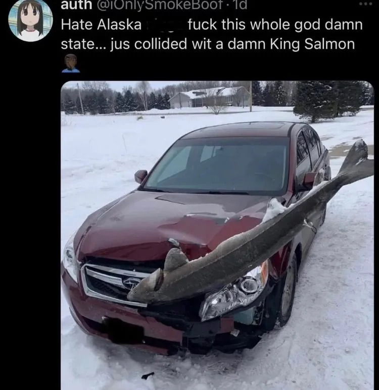 Interesting As Fuck (@interesting_ail) on Twitter photo 