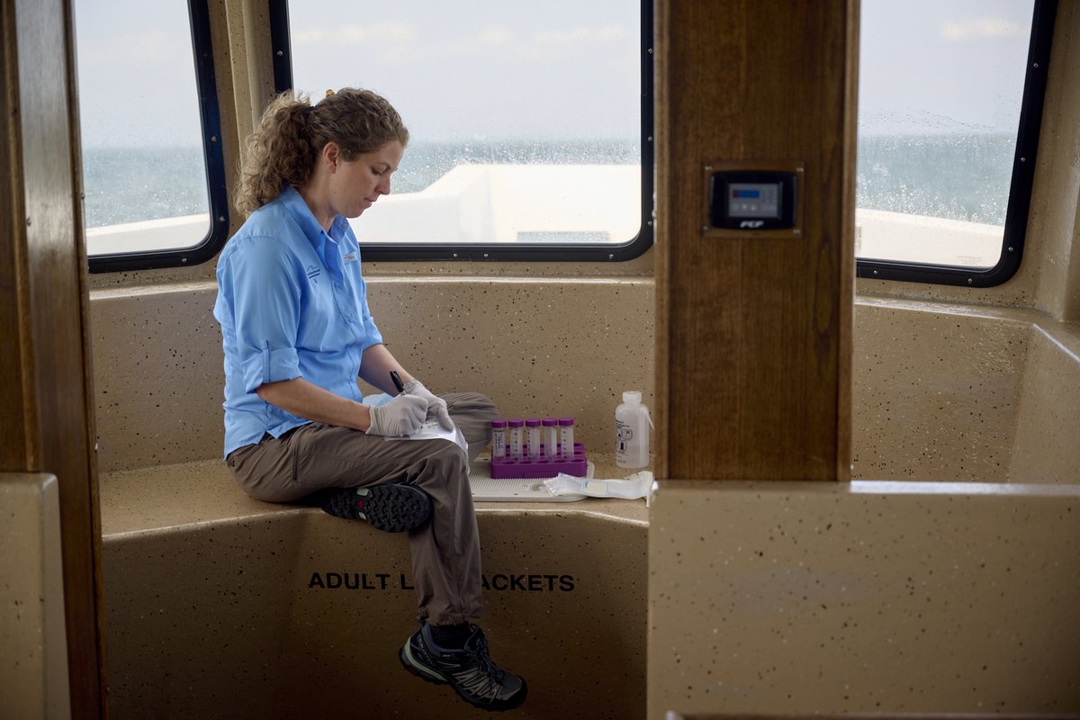 Dr. Brandi Kiel Reese, a geomicrobiologist, goes a step beyond by going below the surface. Learn how her work with the tiniest of microbes beneath the sea floor leads to big scientific breakthroughs. bit.ly/40eElrx