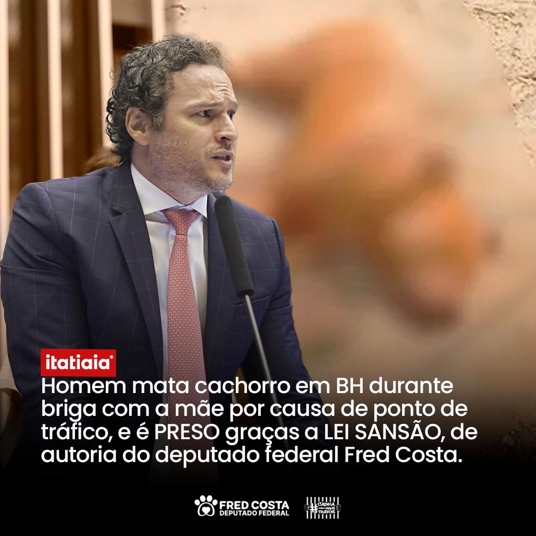 Fred Costa tweet media