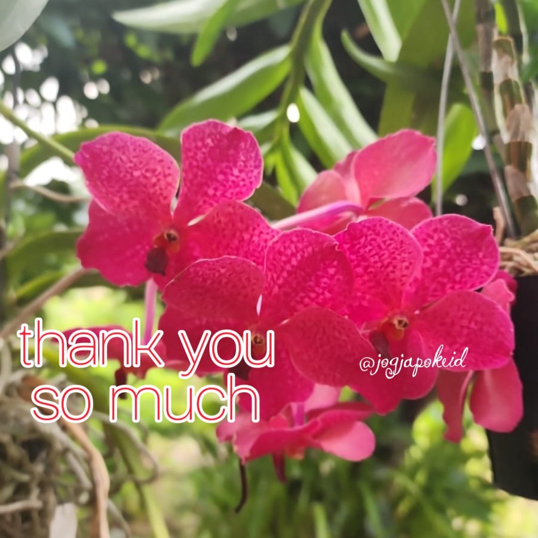 #F4F_Nusantara
#TMMIH10
#TwFsClub

thank you so much
⏩➽ <a href="/MIHaque10/">Dr. M. l. Haque #TMMIH10</a>

<a href="/TwFsClub/">Founder of ☀️ #TwFsClub</a>
<a href="/jogjapokeid/">jogjapokeid</a>
<a href="/gftf618413/">مايا الدوسري 🇸🇦✨</a>
@crookednicur
<a href="/Keltonug1/">Kelton@ug</a>
<a href="/omarbisheer/">Omarbisheer</a>
<a href="/AlzhwanySa53064/">غزة العزة</a>
<a href="/JaldiJon18248/">IPTV_smarters</a>
<a href="/JaliTom70000/">IPTV SERVICE PROVIDER</a>
@Abhishe61844336
<a href="/Aivarelis88/">TAWY</a>
<a href="/Gb_bish9e_1672/">G.B.Bishnoi</a>
<a href="/Alabidowu/">P E M Angalabiriowei</a>
<a href="/meo786/">Muhammad Afzal Meo</a>
<a href="/Zar_43/">ZARRAR ضرار #ΛᒪBΛЯQ⚡@𝙕𝙖𝙧_𝟰𝟯</a> 
@ahmedalbar35072