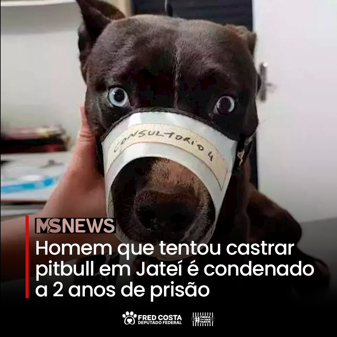 Fred Costa tweet media