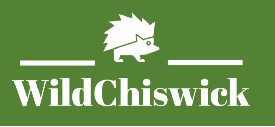ChiswickPier's tweet photo. 👏Thank-you Joanne Gilbert for sharing the story behind your wonderful charity @WildChiswick at @ChiswickPier last night. If you would like to get involved in supporting local wildlife Joanne would love to hear from you: https://t.co/IPhlXH8y1O https://t.co/ZykVrA3zqU