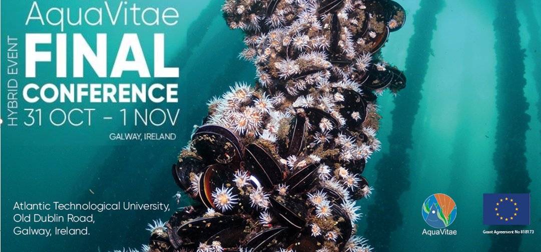 ⌛Still not registered for the AquaVitae Final Conference?  📅31 Oct- 1st Nov. ✍️Book your online seat &amp; unlock the potential of low trophic #sustainableaquaculture with us! 🐚More info &amp; online seats 👉 bit.ly/aquavitaefinal